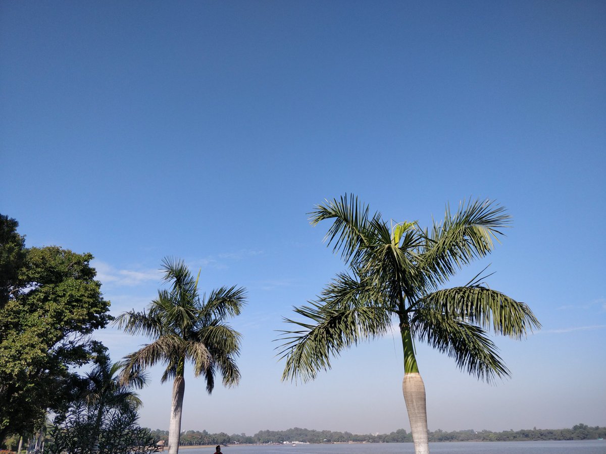 divyaasrisri's tweet photo. D ☘︎ clicks, Today
#NaturePhotography
#gardenersworld
#photography
#photooftheday
#photographers
#naturelovers
#garden #nature
#NatureBeauty
#GardeningX
#tuesdayvibe
#Trending
#SimpleFeelings https://t.co/YjErsGy0PH