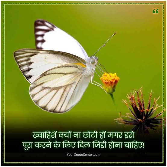 RIT 🐦 (@12ritr) on Twitter photo 