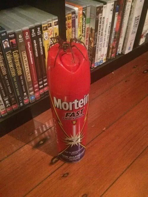 Well played, spider…well played.