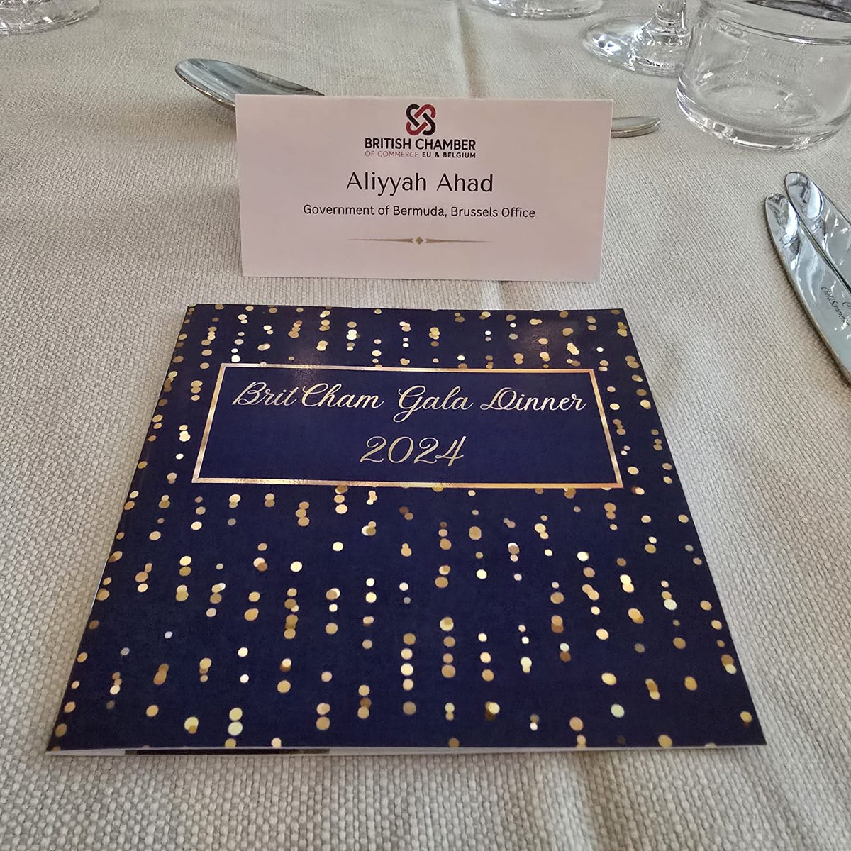 BDABXLOffice's tweet photo. Last night the Government of Bermuda's Brussels representative Aliyyah Ahad had the pleasure of attending the British Chamber of Commerce EU &amp; Belgium annual gala dinner. 🇧🇲🇪🇺

Many thanks to the British Chamber for a wonderful evening.

#BermudainBrussels https://t.co/TgmNCyyKTO