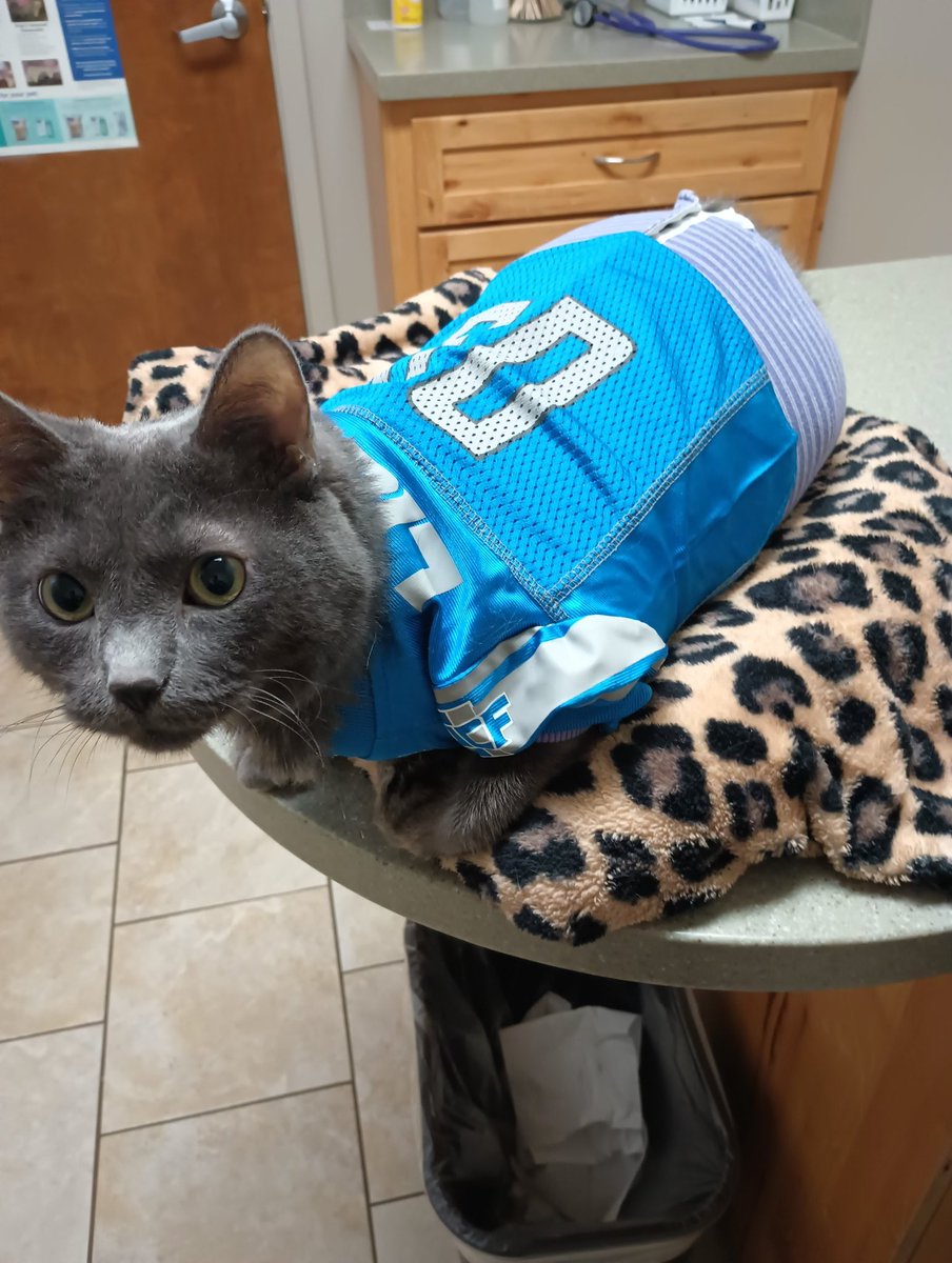 #nfl #Lions <a href="/LionsPR/">Detroit Lions PR</a> <a href="/Lions/">Detroit Lions</a> <a href="/NFL/">NFL</a> <a href="/espn/">ESPN</a> At the vet lookin' real TUFF. Have to get a clean bill of health before stompin' Green Bay this week! #GRIT