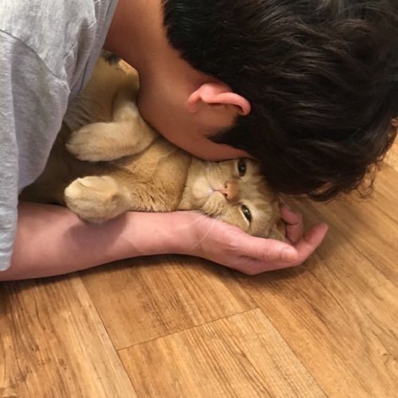 ꨄ (@tyunnyangiez) on Twitter photo 