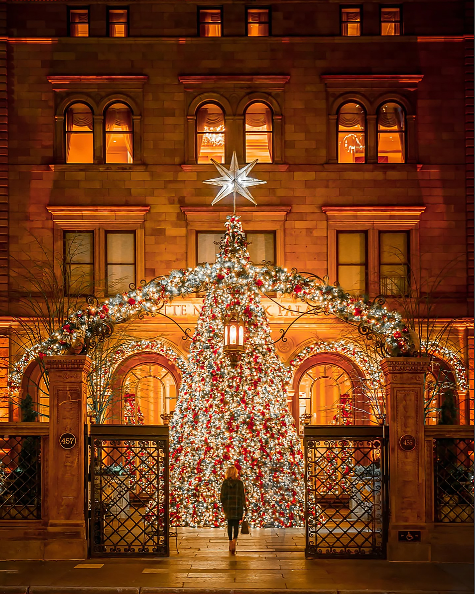 chambermagic's tweet photo. New York City has quite a few awe inspiring #ChristmasTrees to choose from... But the @NewYorkPalace certainly has one something special to offer ๐๐ฉ
๐ท: @212sid
#nyc #nycityworld #loves_nyc #bhphoto #adorama #mysecretnyc #newyorkcity https://t.co/wLHb6u0mlR