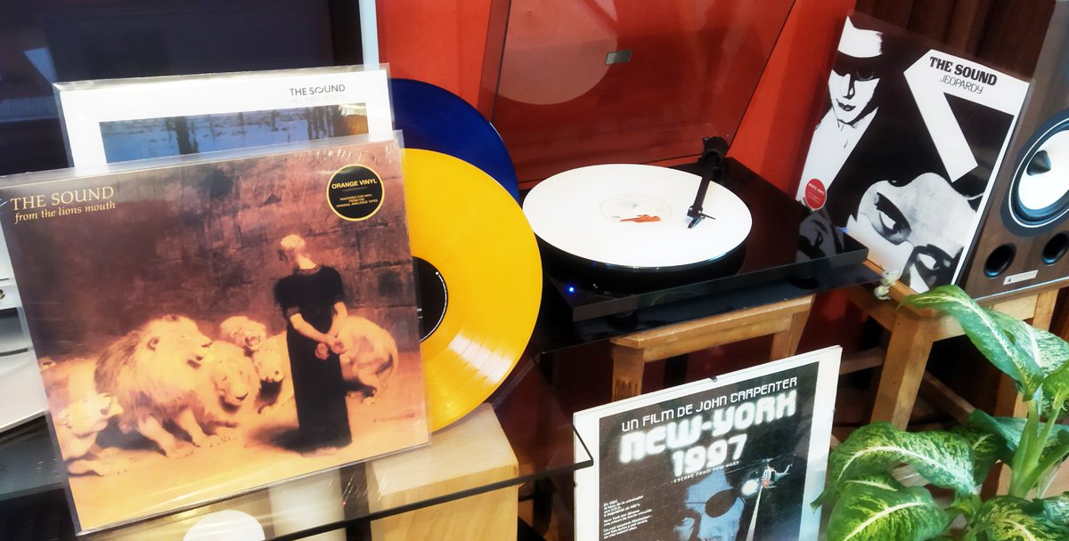 dabrainkilla's tweet photo. Beautiful reissues of The Sound post-punk first three albums (Jeopardy, From the Lions Mouth, All Fall Down) mastered from analog tapes by @warnermusic. https://t.co/P50Jpc9la9