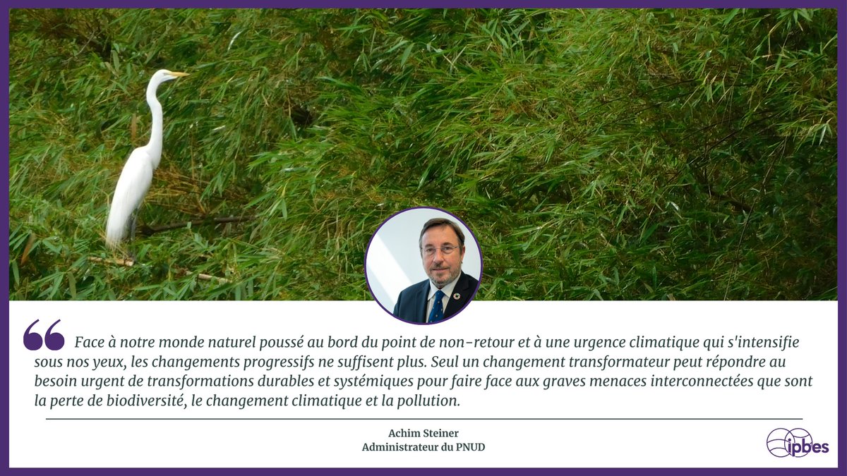 Ce rapport sur les #ChangementsTransformateurs de l'<a href="/IPBES/">ipbes</a> [...] appelle à une transformation dans la collaboration entre gouvernements, communautés, secteur privé &amp; société civile [...] [et] fournit une feuille de route claire pour un véritable changement.💡
—<a href="/ASteiner/">Achim Steiner</a>, <a href="/pnudfr/">ONU Développement</a>