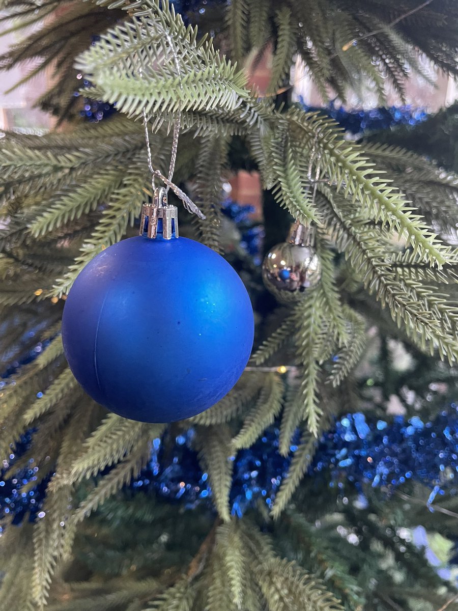 At Nayland Primary School, it’s beginning to look a lot like Christmas! We’ve had a sneaky peak of Christmas on Monday, got the decorations up and the nativity rehearsals are in full swing.
