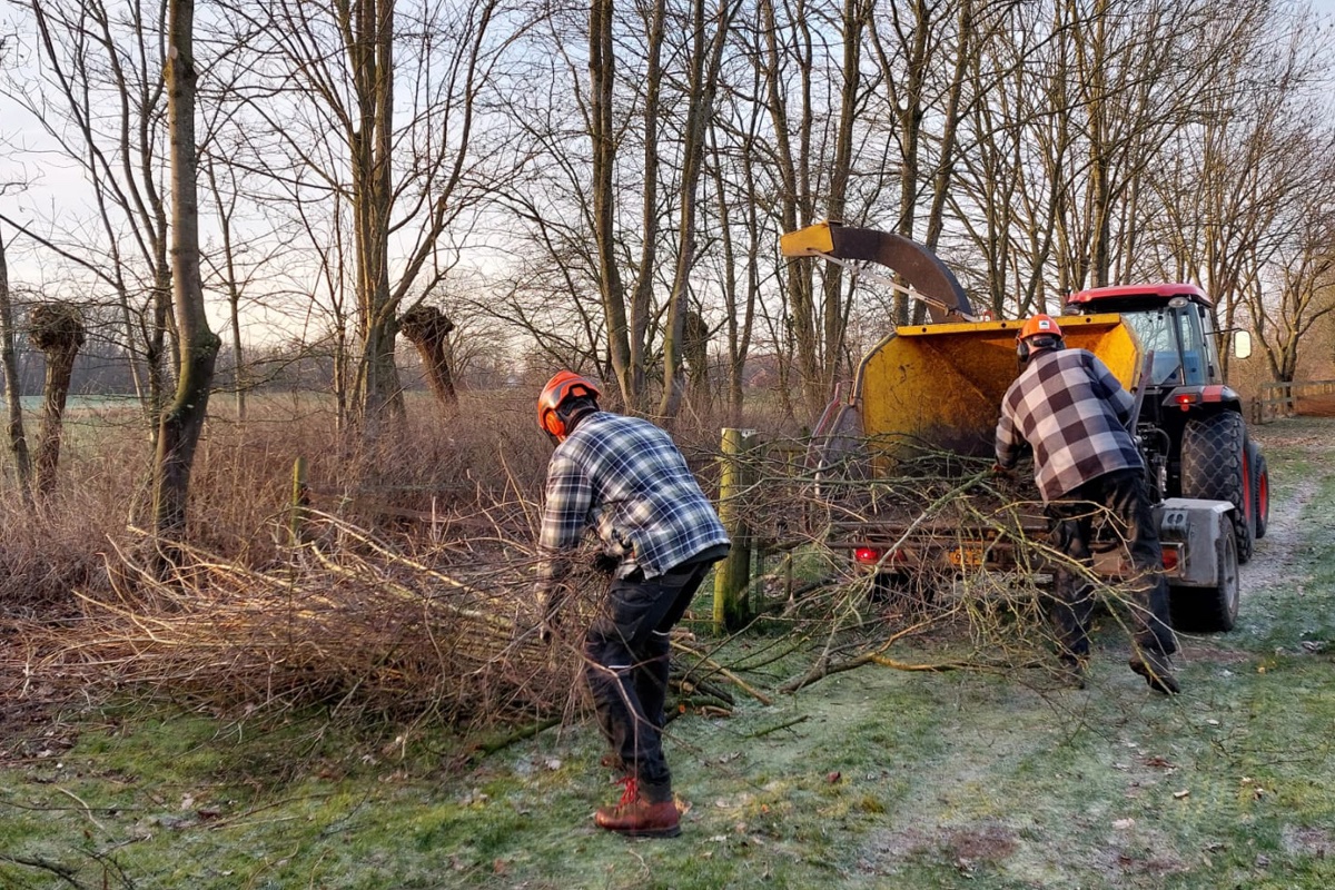 Winterklaar maken van je tuin! 🍂❄️
De winter staat voor de deur! Is jouw tuin al klaar voor het koude seizoen? We geven je graag een aantal tips om je tuin winterklaar te maken én goed voor te bereiden op de lente: oscarsgroen.nl/winterklaar-ma…