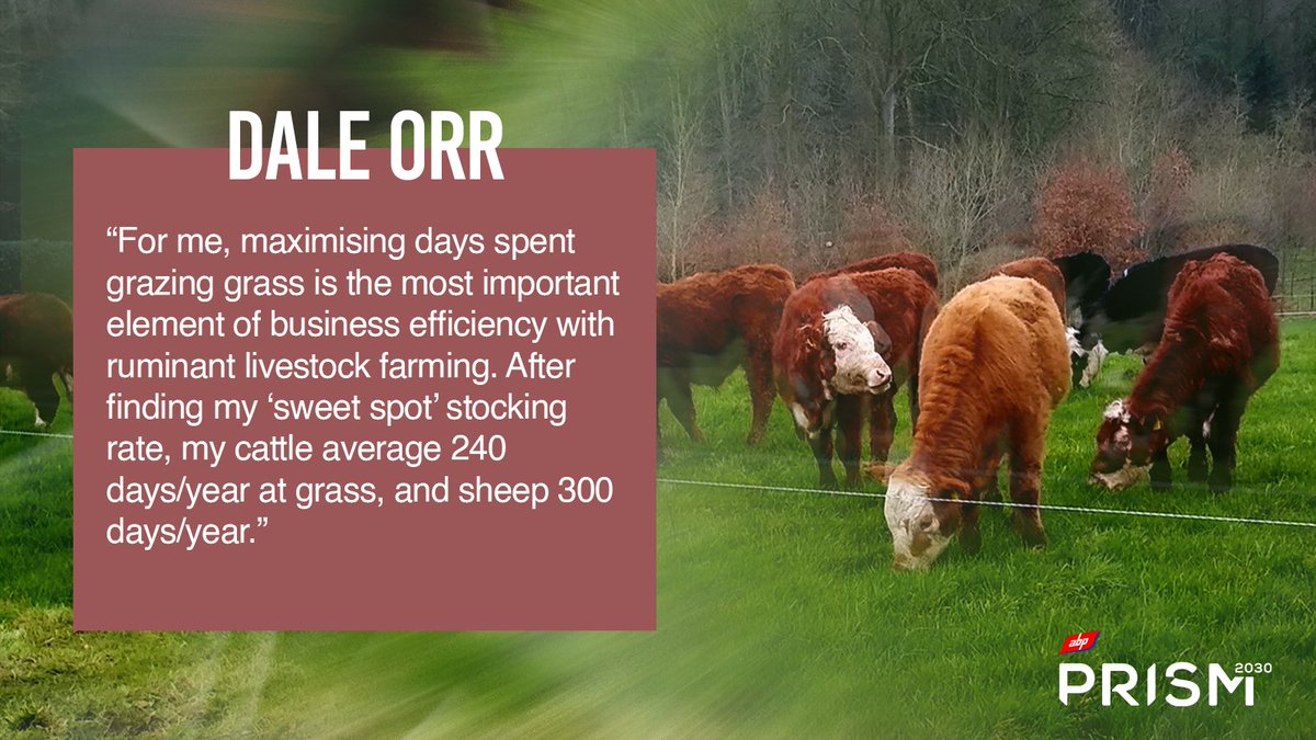 abpukagri (@abpukagri) on Twitter photo Boosting productivity within livestock enterprises farms can be achieved in various ways.
☘️Here’s what #PRISM2030 farmer, Dale Orr has discovered with his farm 👇
<a href="/agrecalc/">Agrecalc</a> <a href="/Bovidiva/">Prof. Jude Capper 🐄🐂🐑</a> <a href="/AndersonsCentre/">The Andersons Centre</a> Boosting productivity within livestock enterprises farms can be achieved in various ways.
☘️Here’s what #PRISM2030 farmer, Dale Orr has discovered with his farm 👇
<a href="/agrecalc/">Agrecalc</a> <a href="/Bovidiva/">Prof. Jude Capper 🐄🐂🐑</a> <a href="/AndersonsCentre/">The Andersons Centre</a>