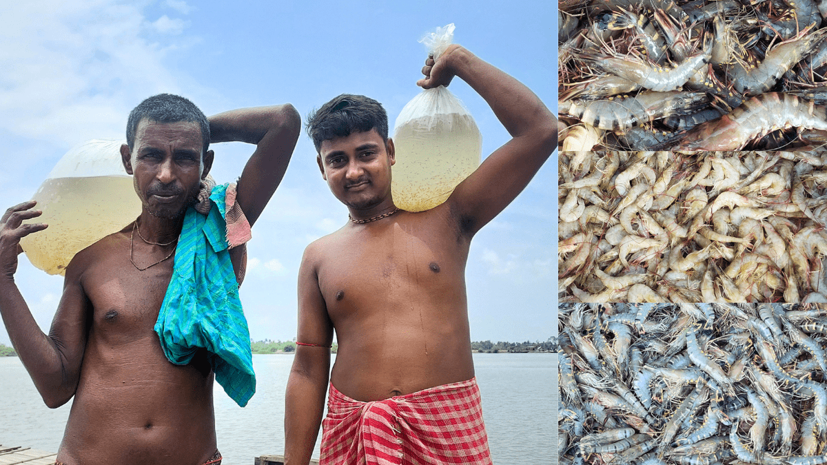 Media Skills Lab tweet media