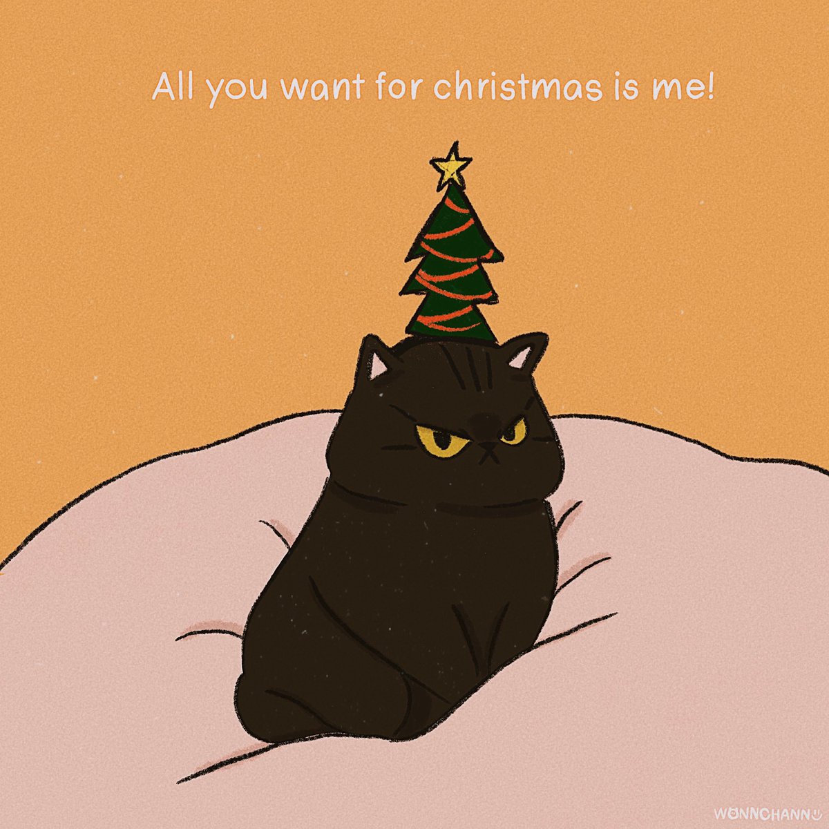 🐱🐱