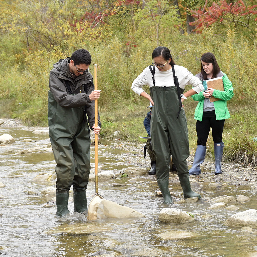U of T Alumni (@uoftalumni) on Twitter photo #GivingTuesday: <a href="/UofTEnvironment/">U of T Environment</a> is striving to create a more sustainable planet – but they need your support as they work to address some of the world's greatest environmental challenges. Donate today to help educate tomorrow's sustainability leaders: bit.ly/4eVQZSP #GivingTuesday: <a href="/UofTEnvironment/">U of T Environment</a> is striving to create a more sustainable planet – but they need your support as they work to address some of the world's greatest environmental challenges. Donate today to help educate tomorrow's sustainability leaders: bit.ly/4eVQZSP