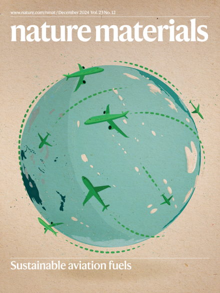 NatureMaterials's tweet photo. Our December issue: https://t.co/pOU12TCsyQ https://t.co/p9YPsfmZuz