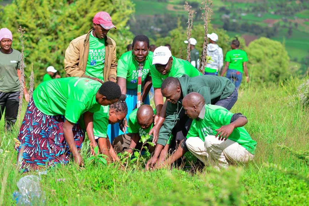 🥗Minimize waste: Compost food scraps and use leftovers creatively to reduce food waste.
#EcoFriendly 
#sustainableLiving 
<a href="/yfga_kenya/">Youths For Green Action Kenya</a>