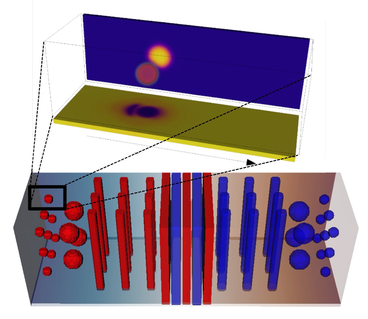 Researchers developed a model that describes the microscopic dynamics of a nucleus accelerating through the #superfluid medium of a #NeutronStar’s inner crust. The #OpenSource tool could be used to shed light on superfluidity in other #nuclear systems.

🔗 go.aps.org/4gfUNPg