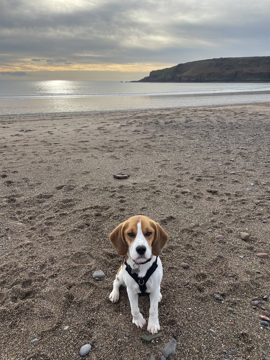 Kim Cole tweet media