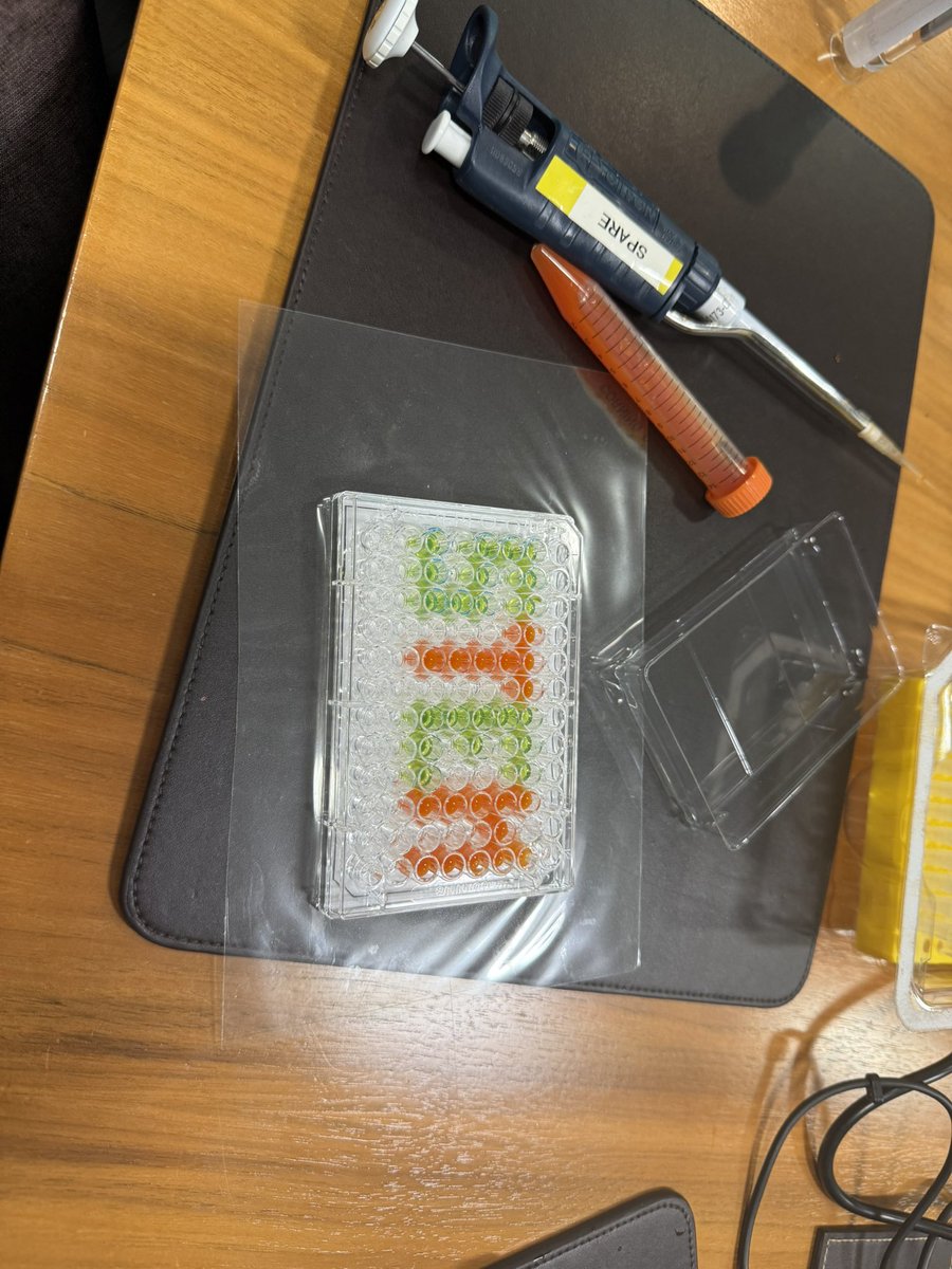 SASB_SCIENCE's tweet image. Higher human pupils were treated
to a visit to a working lab today. Thanks to Jill and Nicola #iqvia #stem