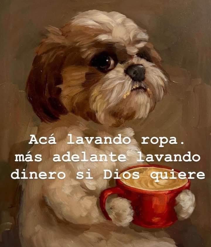 Ornelatm's tweet image. Muy buenos días criaturas celestiales les mando un gran beso. Que tengan un gran martes. 
LosTeCuEme!
@ruleiro @eltalcha #Airto 
  #PoderosoYQué