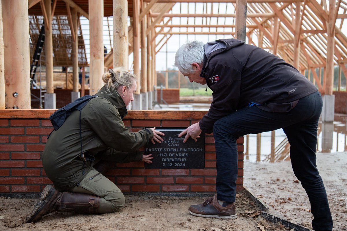 Schapen spelen een essentiële rol in het natuurbeheer van It Fryske Gea🐏Daarom breiden wij de #schaapskooi Oan 'e Wyk in Bakkeveen uit! 

Directeur Henk de Vries had vandaag de eer om de eerste steen te leggen: itfryskegea.nl/eerste-steen-s…

#ItFryskeGea #natuurbeheer