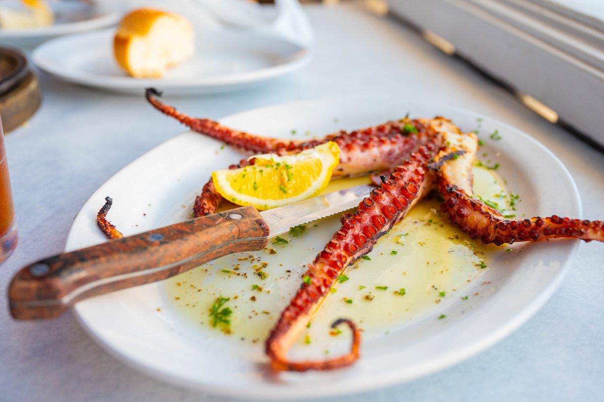 VisitSPC's tweet photo. Opa! Hellas Restaurant & Bakery is #StillShining bright in the heart of Tarpon Springs! When was the last time you indulged in a delicious meal or sweet treat at this beloved spot? π¬π·π #Hellas #TarponSprings #SpongeDocks https://t.co/Caw6xaay0U