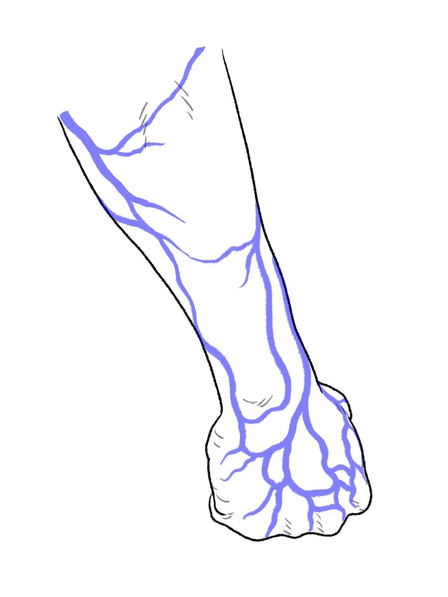 腕の皮静脈（表在静脈）は一卵性双生児でも走行や本数がバラバラなので数人分の資料が欲しいなと思っているところ