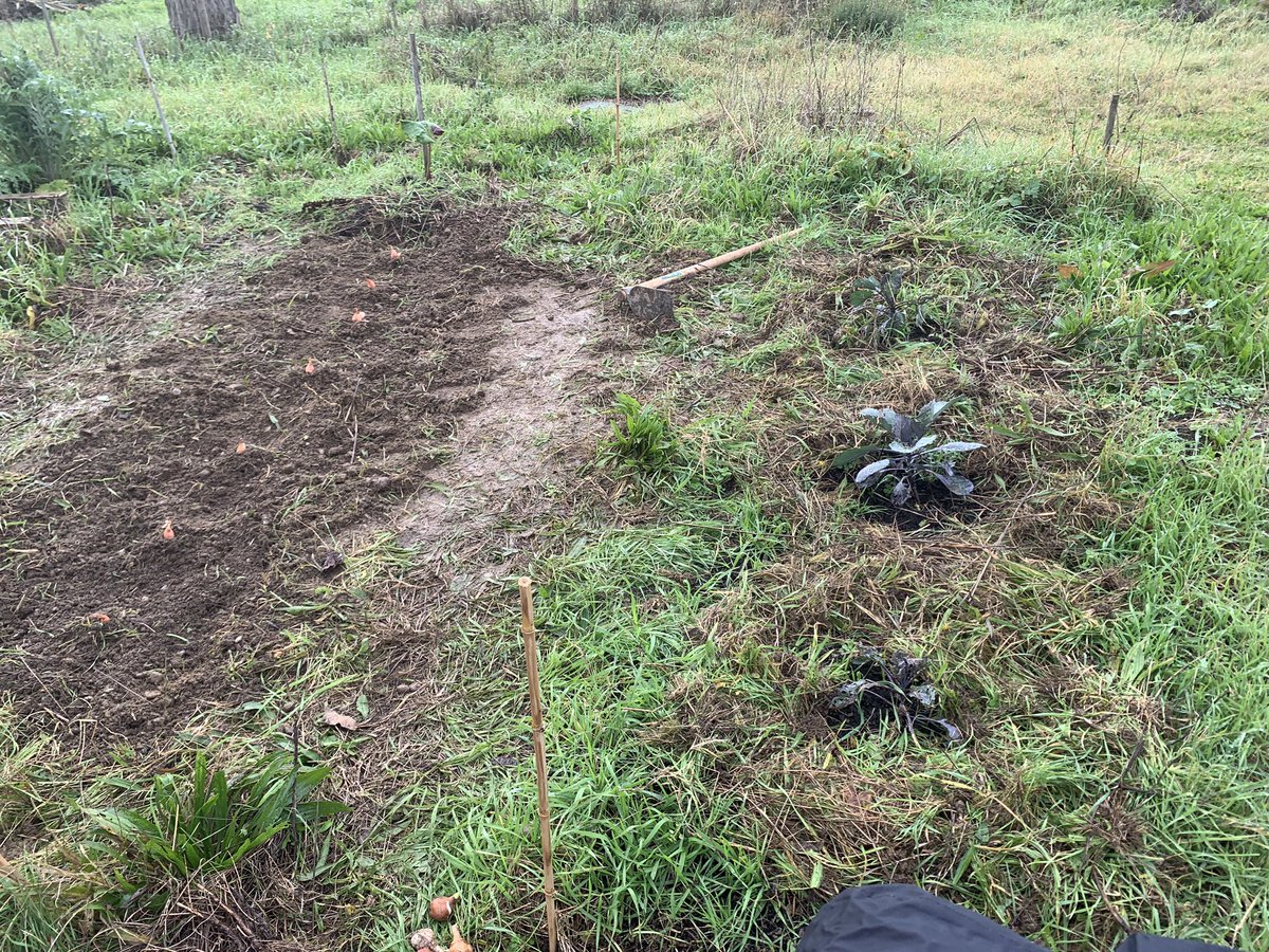 eddlyceesbakerhalimi 🌍♻️🌳🐝🍓🍎🍅🐓 tweet media