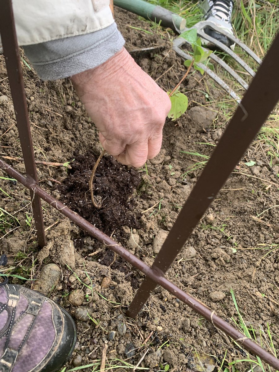 eddlyceesbakerhalimi 🌍♻️🌳🐝🍓🍎🍅🐓 tweet media