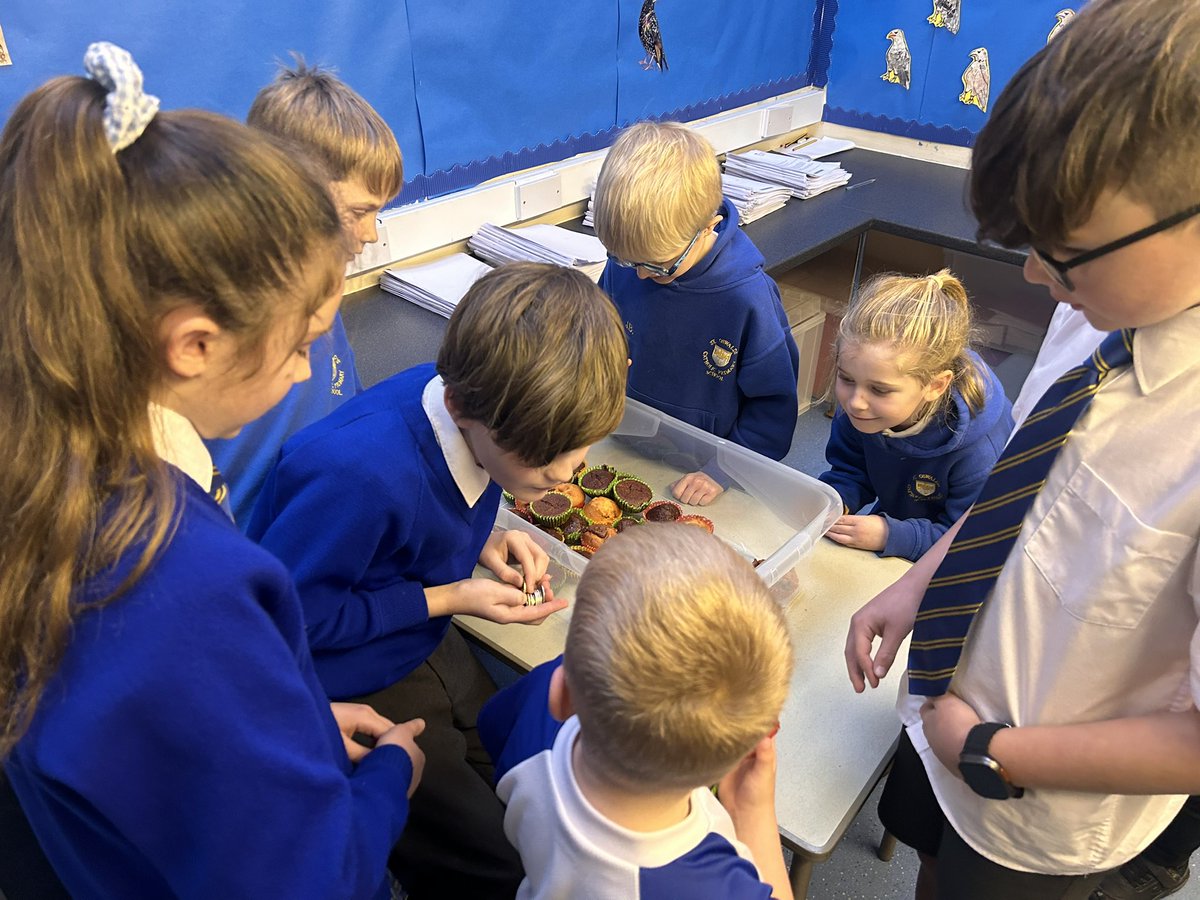 MrsLatham93's tweet photo. Eagles’ handmade muffins were a hit with EYFS and KS1 this afternoon – and I can confirm they were delicious! 🧁🦅 Owls have made their own today and will be selling them to LKS2 tomorrow. All proceeds will go to support children in Malawi! 🌍 #BakingForACause @saintoswalds https://t.co/ReY6xEjUIL