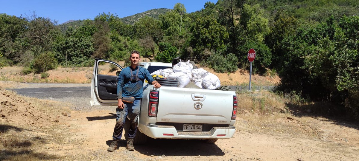 SoilEvoEcoLab's tweet photo. C. Andújar and @MoroGioele are currently on a scientific expedition in Chile as part of the #EdAFoBio project. They are conducting soil sampling in two distinct biomes: Mediterranean forests and temperate forests. 🌍🔬 Fieldwork has been exciting yet exhausting—but so rewarding! https://t.co/sSkeqlptcp