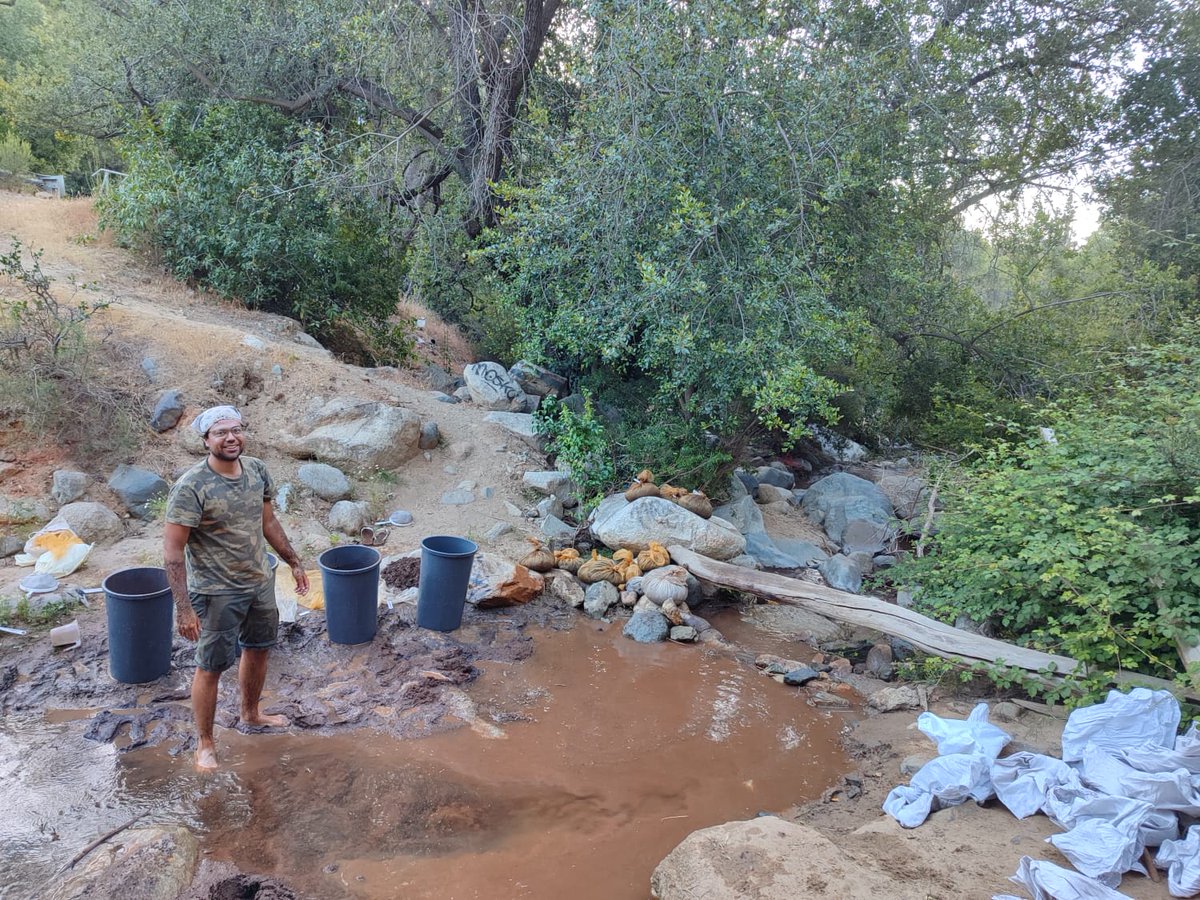 C. Andújar and @MoroGioele are currently on a scientific expedition in Chile as part of the #EdAFoBio project. They are conducting soil sampling in two distinct biomes: Mediterranean forests and temperate forests. 🌍🔬 Fieldwork has been exciting yet exhausting—but so rewarding!