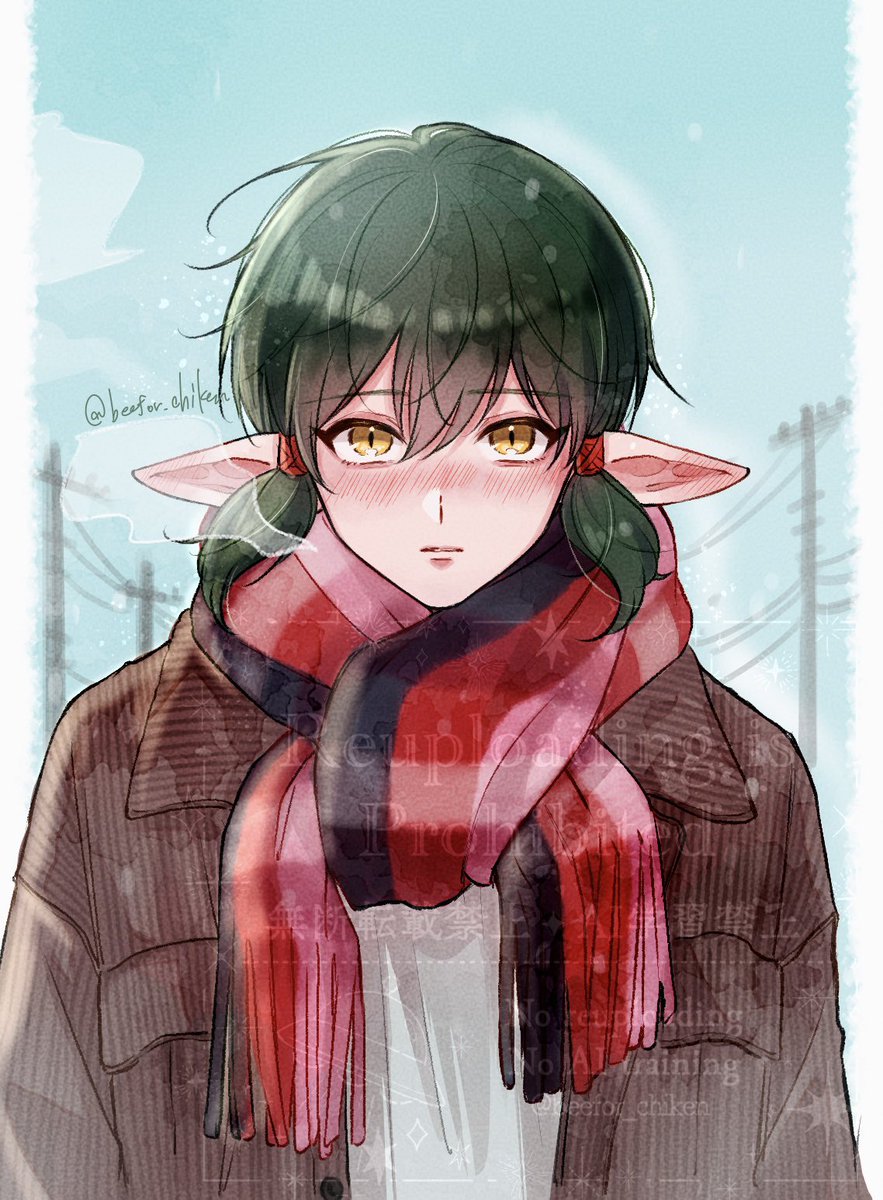 冬のキッシュくん❄️