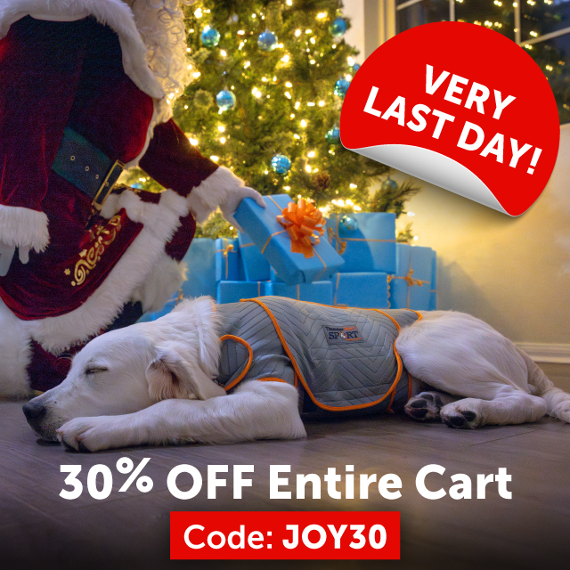 FINAL HOURS ⚠️ Today is the last day to shop our holiday sale! Stock up on all of your favorite products while you can 🐶