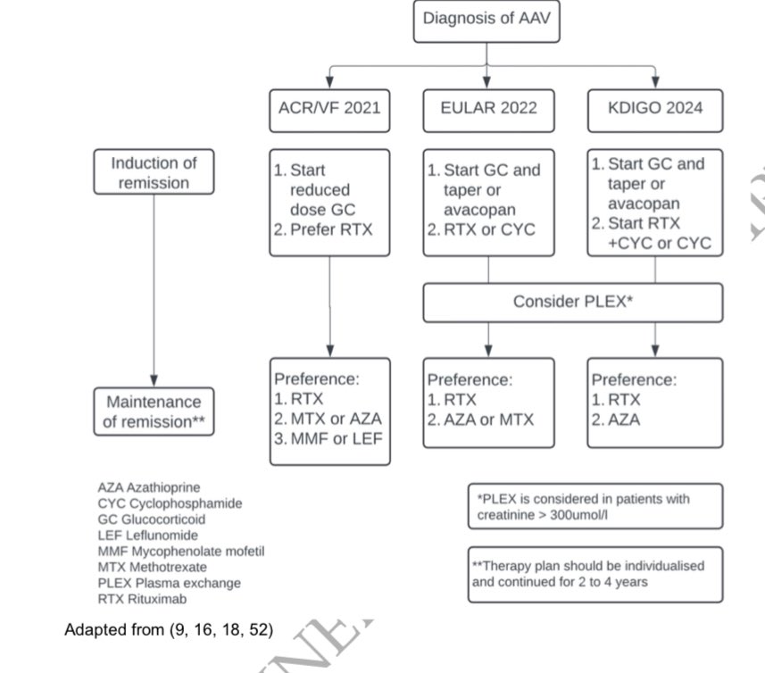 Top ten tips in managing ANCA vasculitis:

▫️Make the diagnosis as early as possible

▫️Induction: Use glucocorticoids + rituximab and/or cyclophosphamide.

▫️Use low-dose glucocorticoid regimen

▫️Use avacopan early

▫️Maintenance: Use rituximab

🔗doi.org/10.1093/ckj/sf…