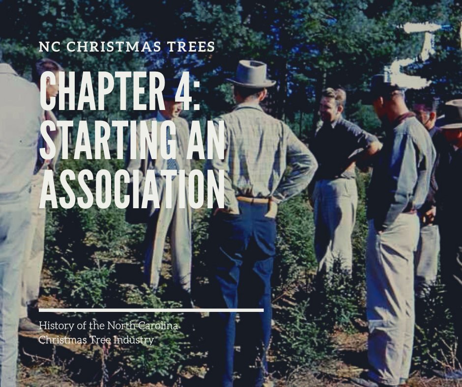 The NC Christmas Tree Association has a proud 65-year history of promoting the use of NC #farmgrown Christmas trees.
Learn how this important association started in 1959 in Ch 4 of our “History of the North Carolina Christmas Tree Industry’ publication!
christmastrees.ces.ncsu.edu/christmastrees…