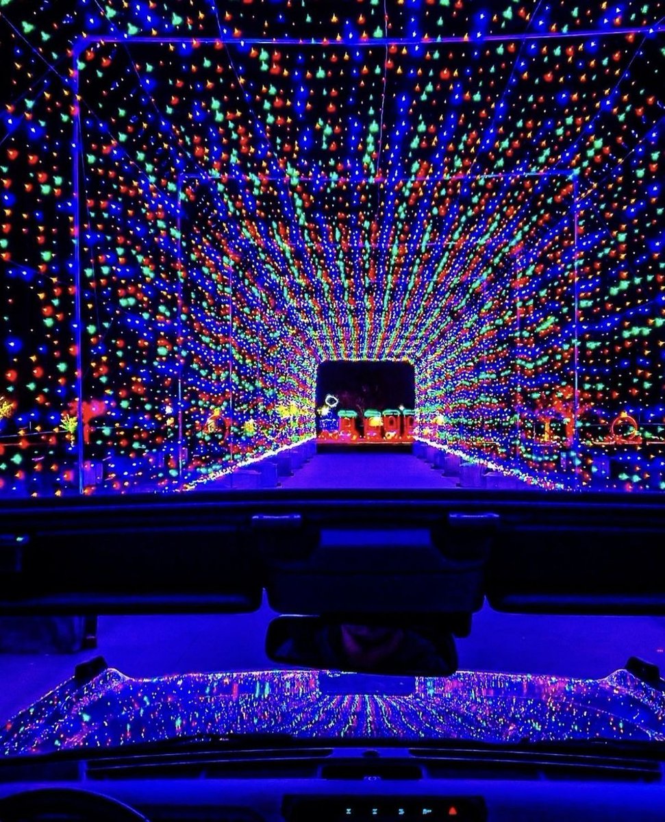 TappedEnt's tweet image. Christmas is this month, you know what that means… Jones Beach Lightshow! 🎄 Book Tapped today. 631.913.3817