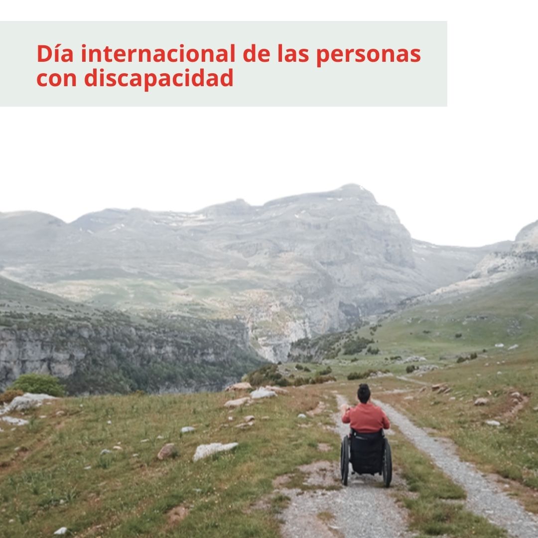 Batec Mobility tweet media