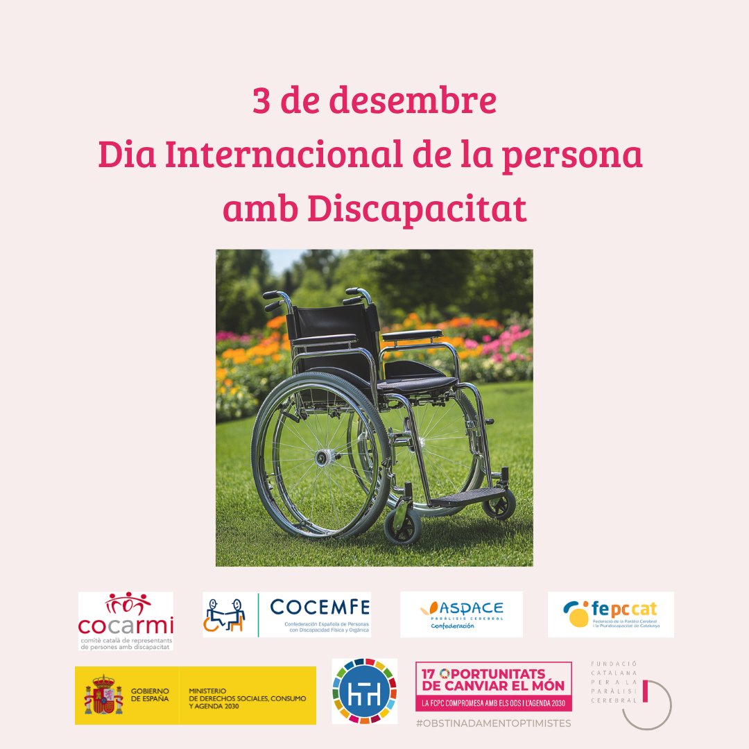 F.C.ParàlisiCerebral tweet media