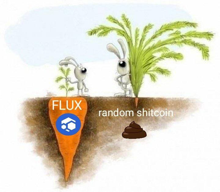 cypherpunkX's tweet photo. Fuck your #memcoin, #Flux https://t.co/mz5Q31UsP6