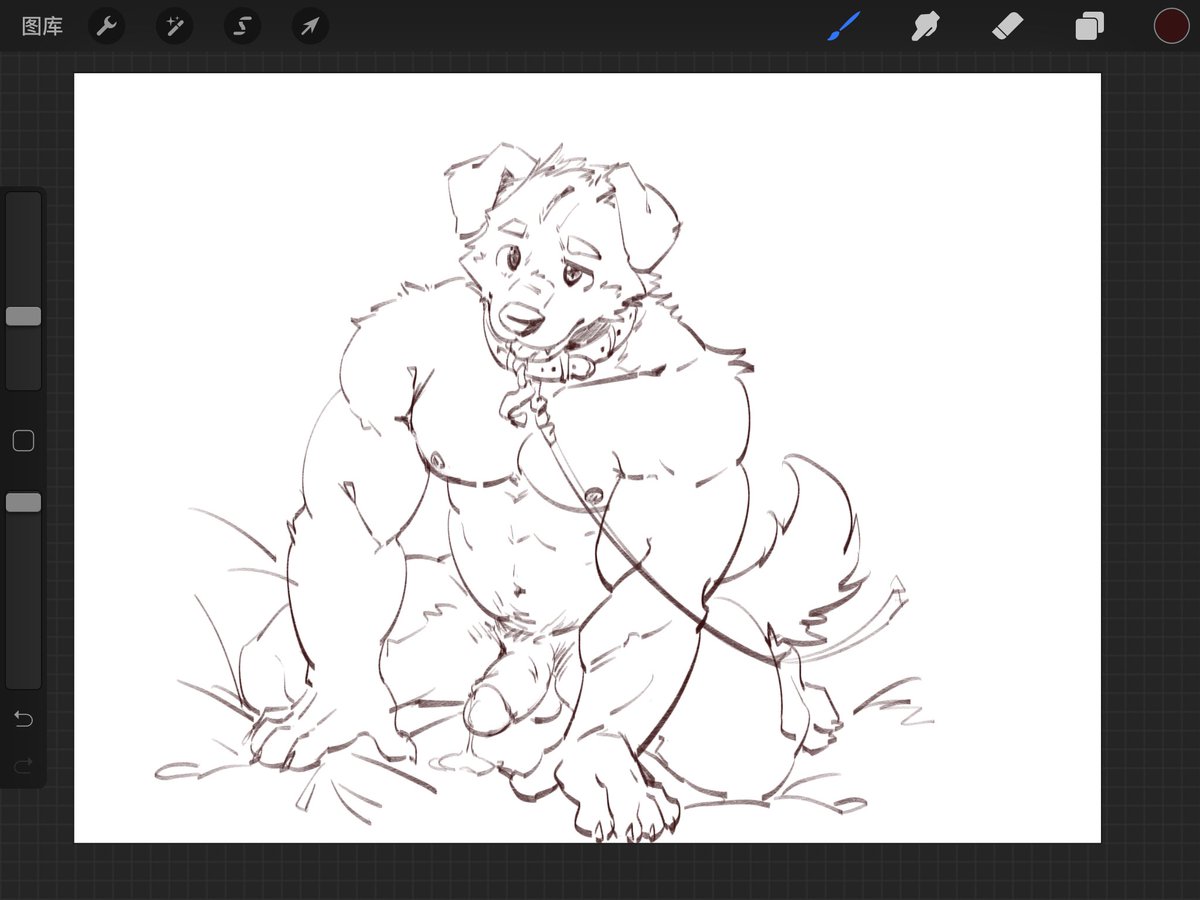 冬汪 (@winterpuppyzzz) on Twitter photo 