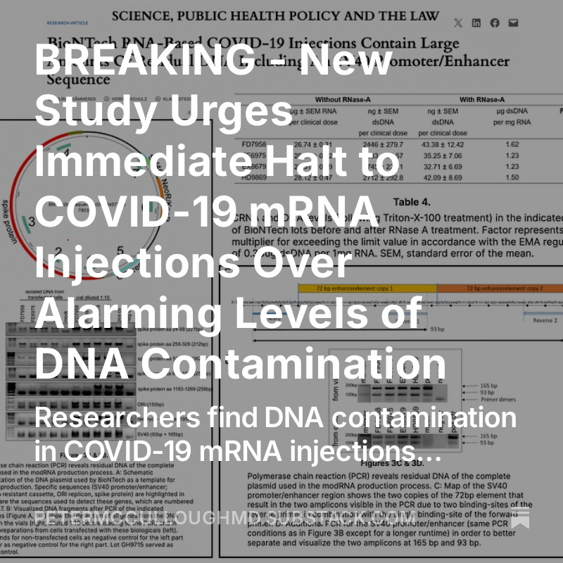 P_McCulloughMD's tweet photo. BREAKING - New Study Urges Immediate Halt to COVID-19 mRNA Injections Over Alarming Levels of DNA Contamination

Researchers find DNA contamination in COVID-19 mRNA injections exceeding regulatory limits by over 300%, confirming findings from earlier studies.  When will large vaccinated groups show concern over themselves? @NicHulscher https://t.co/pAzEd0CaJ8