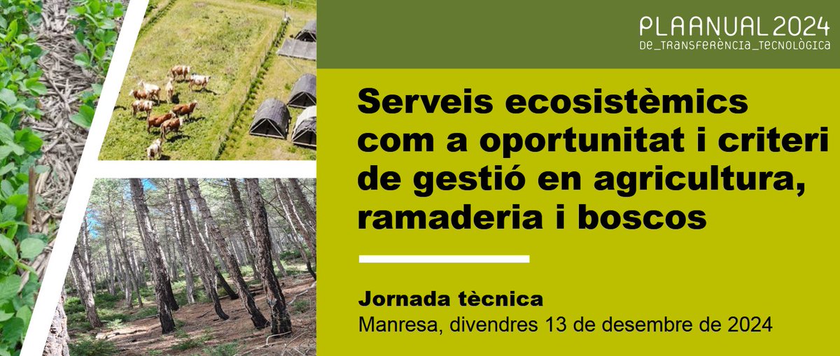 Xavier Domene 🇵🇸 tweet media