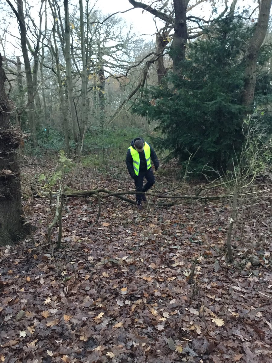 olpsprimary's tweet photo. Our Year 5 ELSA group enjoyed a “Wonder walk” in Clincton Woods after school, forest bathing in nature.#olps forest school https://t.co/WPDStjKu76