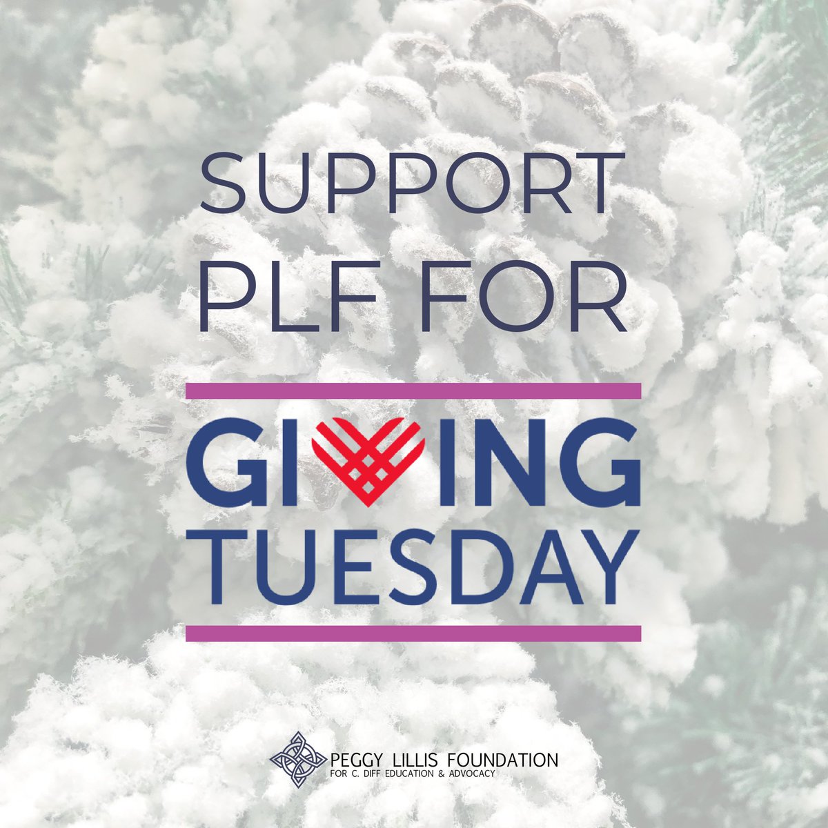 PeggyFund's tweet image. This #GivingTuesday, your generosity can help to build a world where #cdiff infections are rare, treatable, and survivable. Every dollar you give supports critical programs to support patients. Donate today to help spread the word! cdiff.org/donate-now/ #cdiffawareness