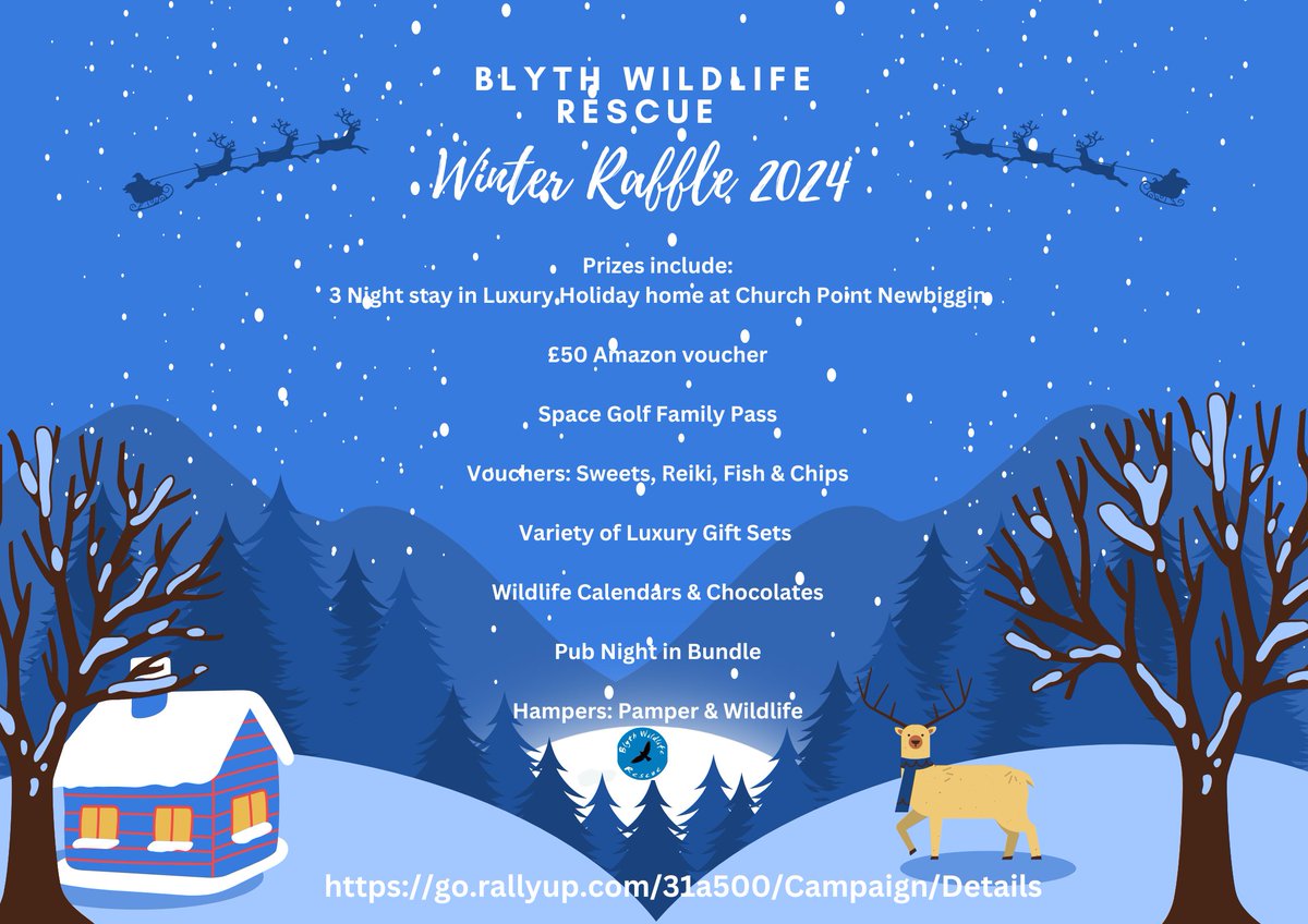 B_W_R's tweet photo. Help us to raise funds and win some great prizes!
https://t.co/EgUGnle1M0
#wildlife #raffle #Northeast #charity #donate #GivingTuesday2024 https://t.co/1kishET59b