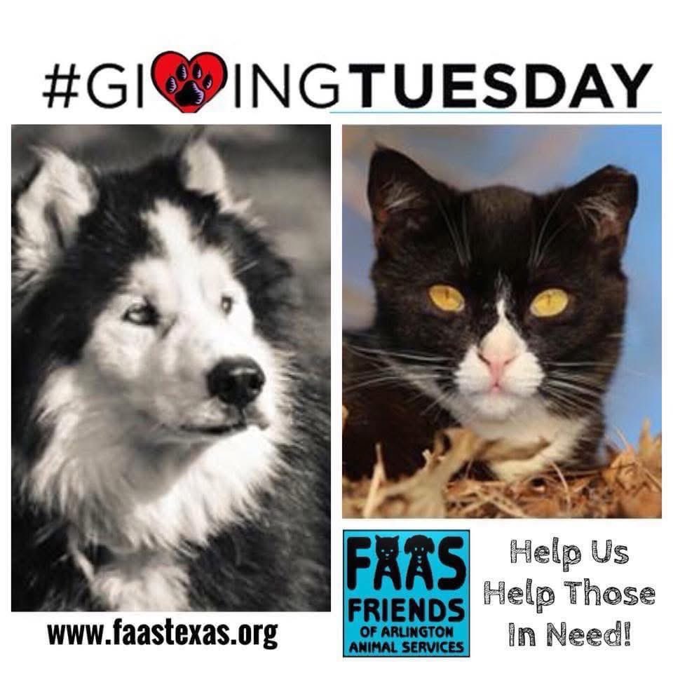 ATXCitizenMedia's tweet image. It's #givingtuesday! Don't forget to help others who need the help. For more about the city of Arlington, listen to The Downtown. #SupportLocal #HelpLocal #RediscoverYourHistory