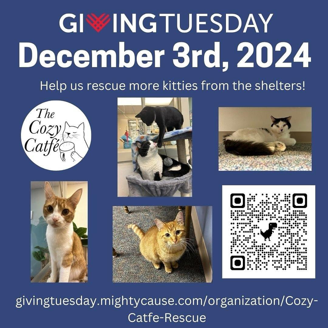 ATXCitizenMedia's tweet image. It's #givingtuesday! Don't forget to help others who need the help. For more about the city of Arlington, listen to The Downtown. #SupportLocal #HelpLocal #RediscoverYourHistory