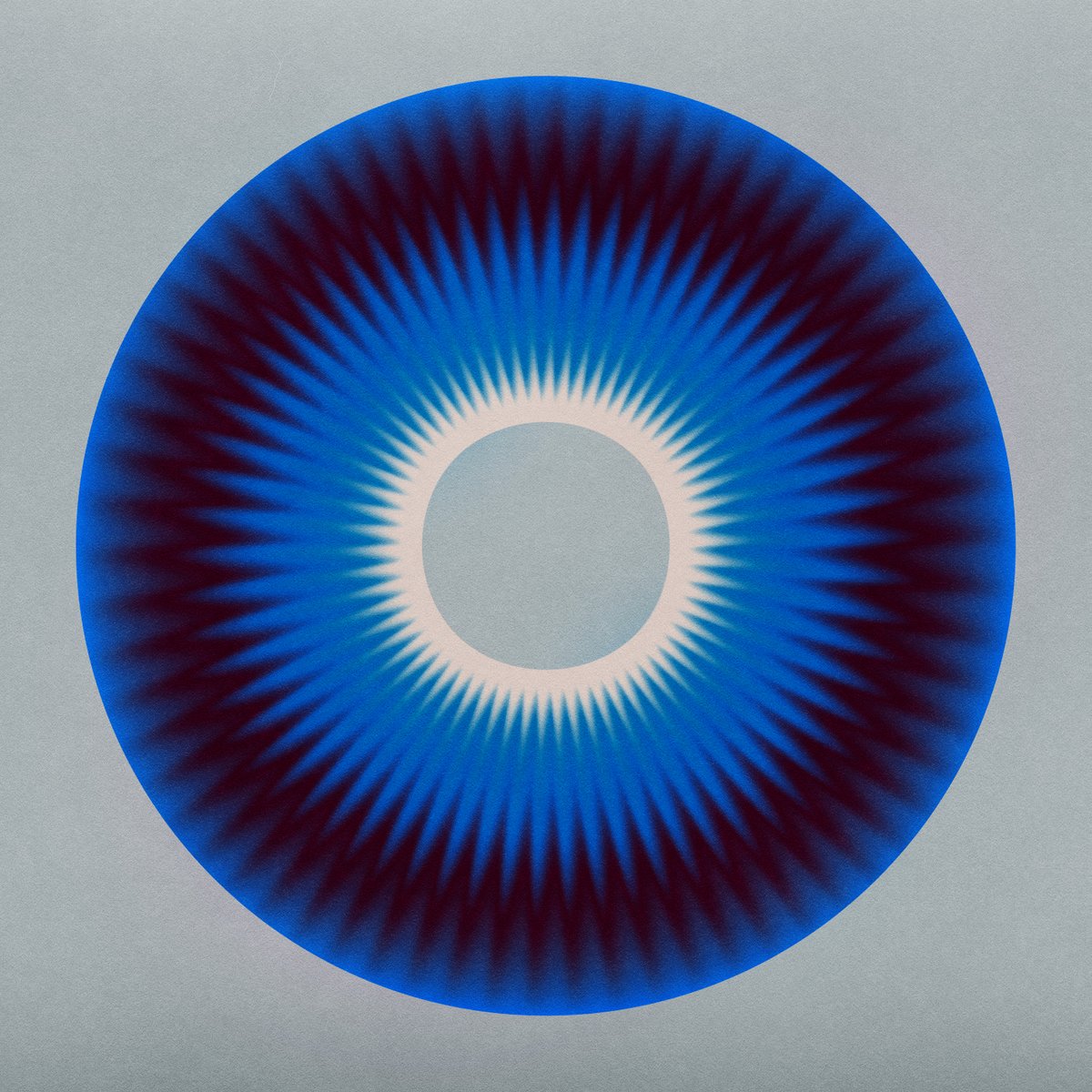 Jerry-Lee Bosmans tweet media