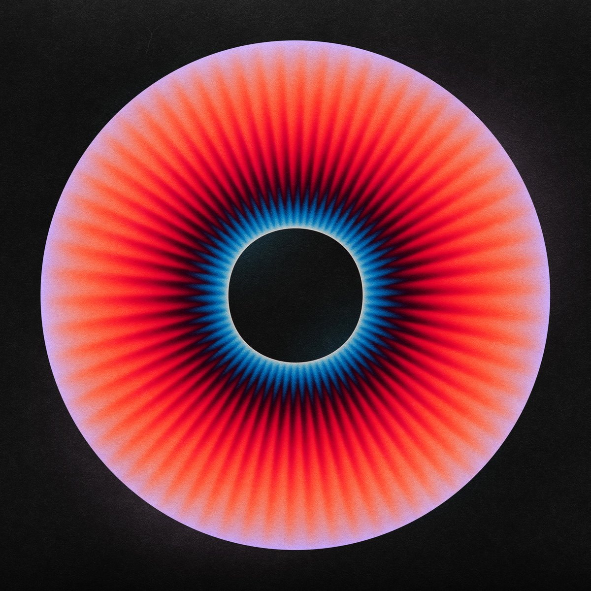 Jerry-Lee Bosmans tweet media