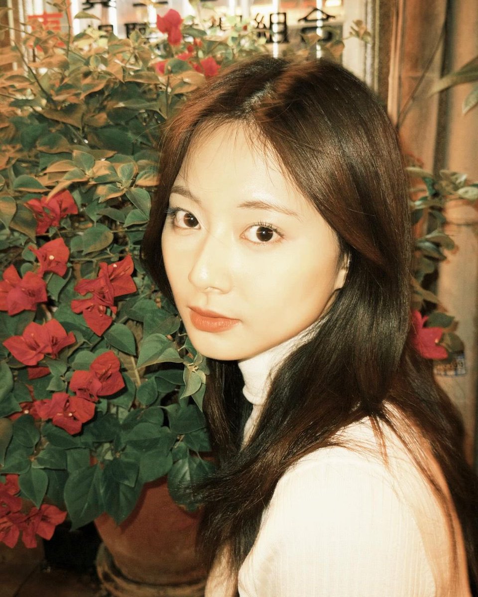 tzuwyu's tweet photo. green and red—two vivid hues that capture the essence of life and subtle passion. just sitting, posing, and letting the light embrace the warmth and depth of the moment. https://t.co/3wMql6RUGx