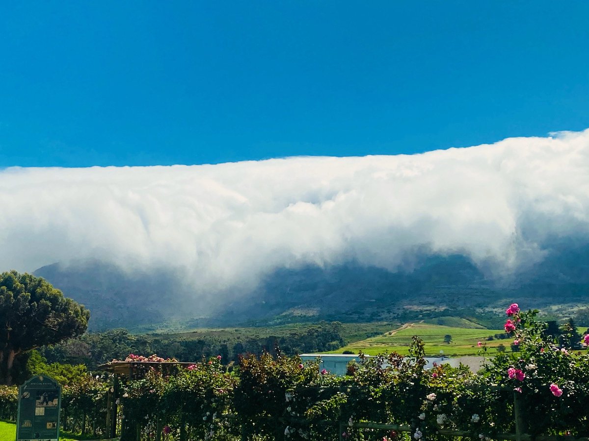 Yves Le Yaouanq tweet media