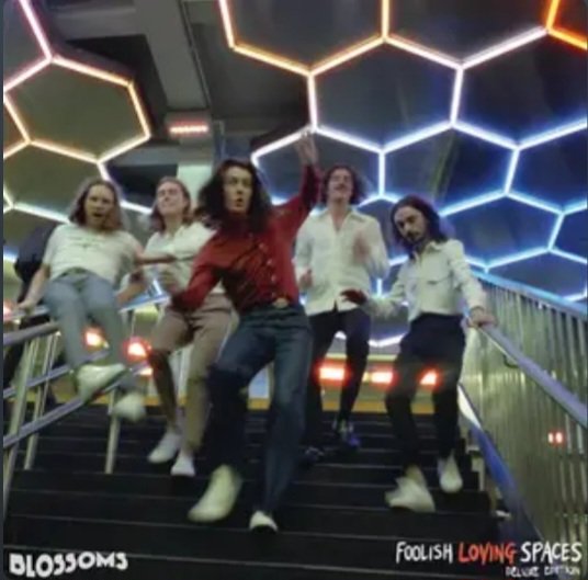 Subversive79586's tweet photo. 🌿 Blossoms - "Foolish Loving Spaces" é radiante, otimista e perfeito para aquecer sua terça. Qual sua faixa favorita?
#Blossoms #FoolishLovingSpaces #IndiePop https://t.co/pi0fI599l9
